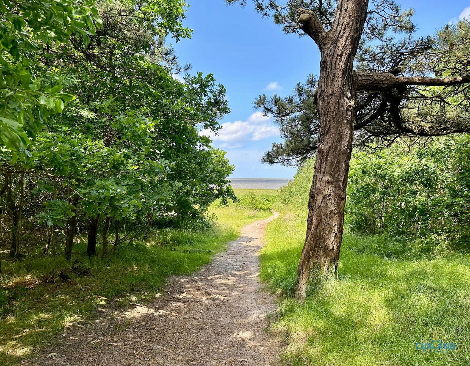 Auszeit Am Wernerwald Im Haus Frauenpreiss Apartment