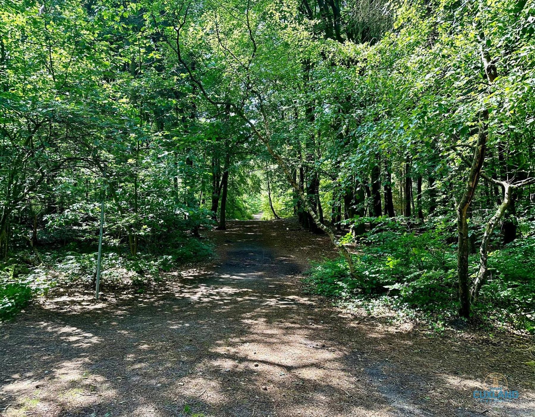 Auszeit Am Wernerwald Im Haus Frauenpreiss